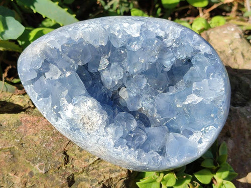 Polished Large Blue Celestite Egg x 1 From Sakoany, Madagascar - Toprock Gemstones and Minerals 