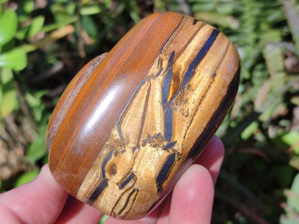 Polished Golden Tigers Eye Free Forms x 7 From Prieska, South Africa - Toprock Gemstones and Minerals 