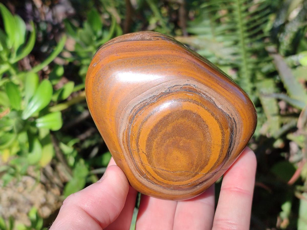Polished Golden Tigers Eye Free Forms x 7 From Prieska, South Africa - Toprock Gemstones and Minerals 
