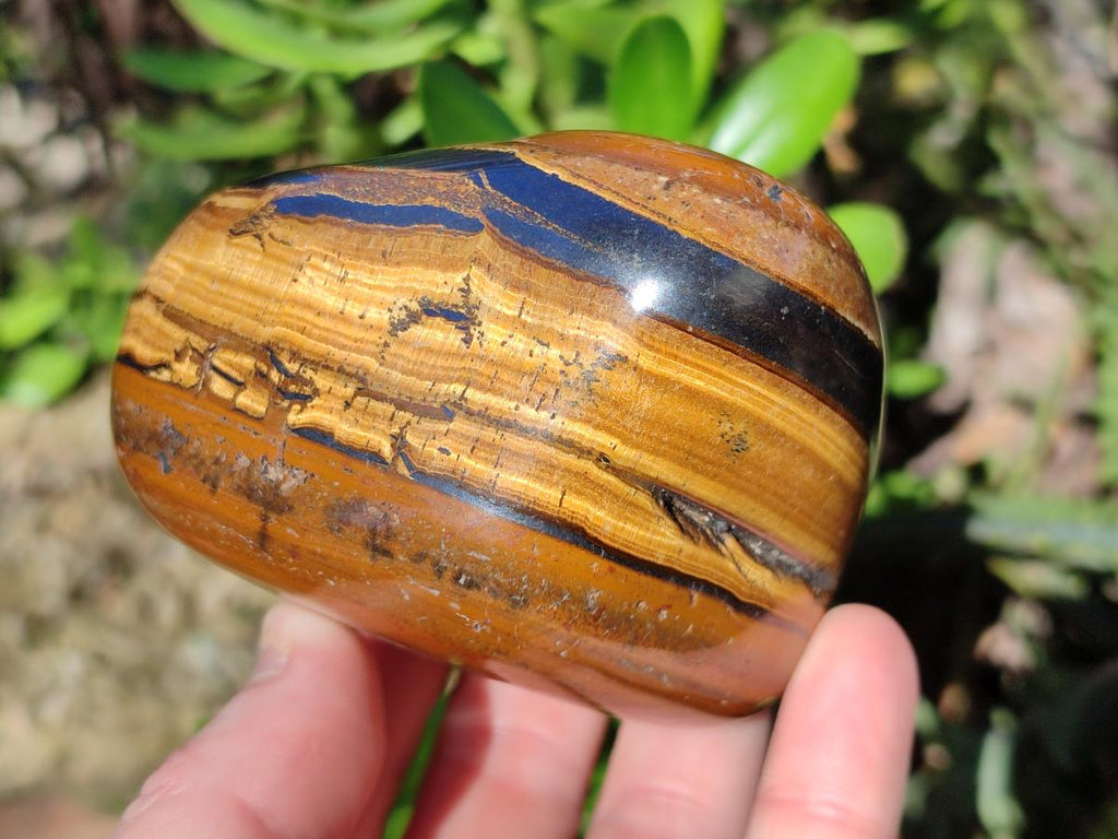 Polished Golden Tigers Eye Free Forms x 7 From Prieska, South Africa - Toprock Gemstones and Minerals 