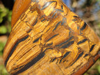 Polished Golden Tigers Eye Free Forms x 7 From Prieska, South Africa - Toprock Gemstones and Minerals 