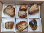 Polished Golden Tigers Eye Free Forms x 7 From Prieska, South Africa - Toprock Gemstones and Minerals 