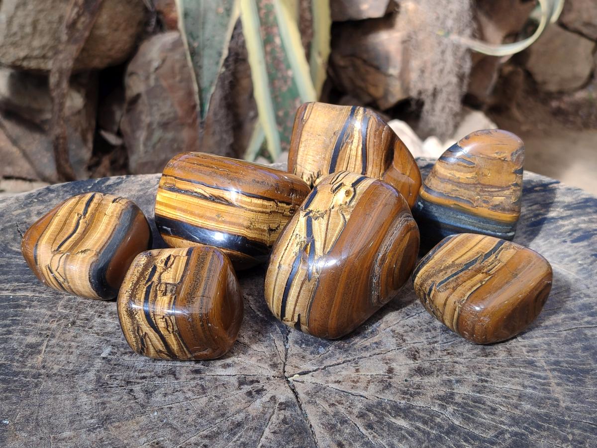 Polished Golden Tigers Eye Free Forms x 7 From Prieska, South Africa - Toprock Gemstones and Minerals 