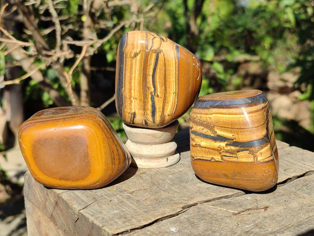 Polished Golden Tigers Eye Free Forms x 7 From Prieska, South Africa - Toprock Gemstones and Minerals 
