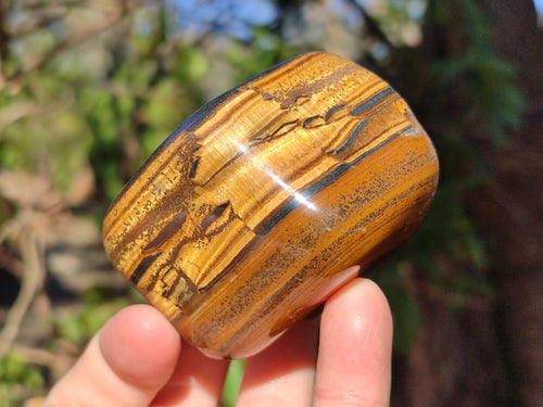 Polished Golden Tigers Eye Free Forms x 7 From Prieska, South Africa - Toprock Gemstones and Minerals 