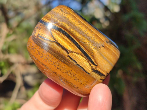 Polished Golden Tigers Eye Free Forms x 7 From Prieska, South Africa - Toprock Gemstones and Minerals 