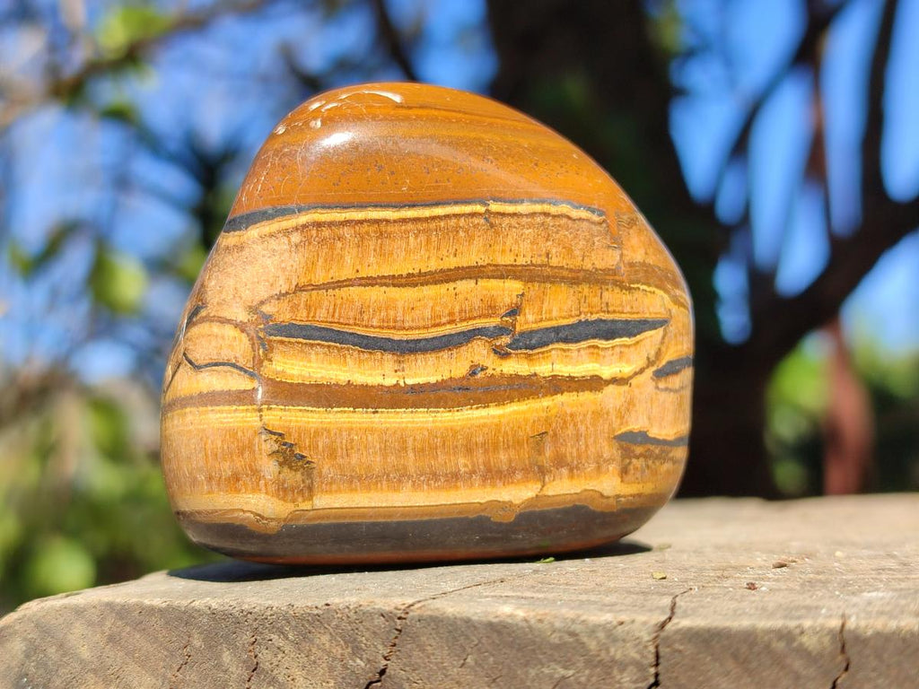 Polished Golden Tigers Eye Free Forms x 7 From Prieska, South Africa - Toprock Gemstones and Minerals 
