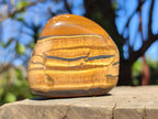 Polished Golden Tigers Eye Free Forms x 7 From Prieska, South Africa - Toprock Gemstones and Minerals 