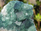 Natural Green Cubic Fluorite Specimens x 6 From Mandrosonoro, Madagascar - Toprock Gemstones and Minerals 