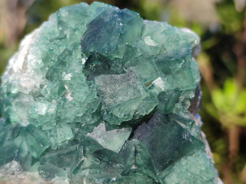 Natural Green Cubic Fluorite Specimens x 6 From Mandrosonoro, Madagascar - Toprock Gemstones and Minerals 