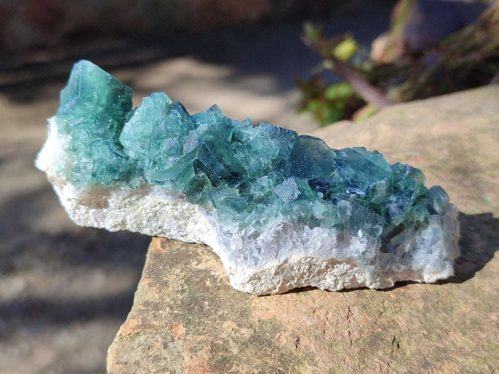 Natural Green Cubic Fluorite Specimens x 6 From Mandrosonoro, Madagascar - Toprock Gemstones and Minerals 