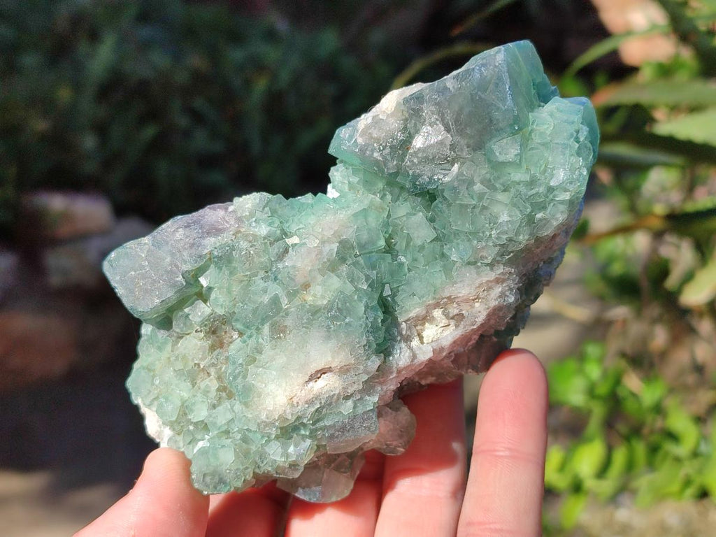 Natural Green Cubic Fluorite Specimens x 6 From Mandrosonoro, Madagascar - Toprock Gemstones and Minerals 