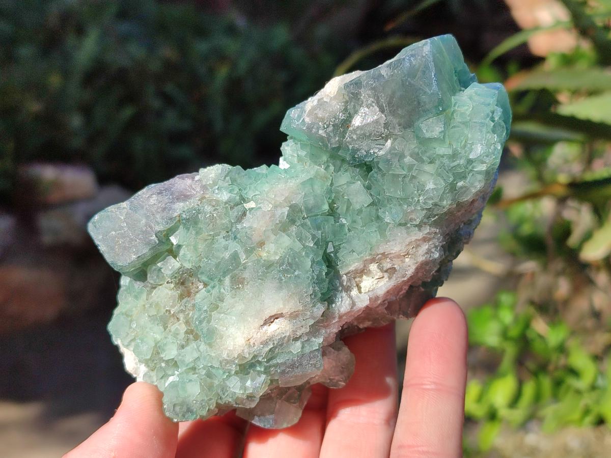 Natural Green Cubic Fluorite Specimens x 6 From Mandrosonoro, Madagascar - Toprock Gemstones and Minerals 