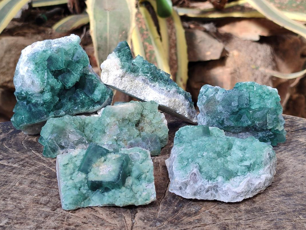 Natural Green Cubic Fluorite Specimens x 6 From Mandrosonoro, Madagascar - Toprock Gemstones and Minerals 