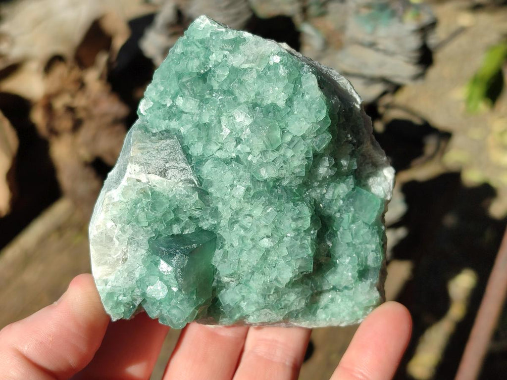 Natural Green Cubic Fluorite Specimens x 6 From Mandrosonoro, Madagascar - Toprock Gemstones and Minerals 