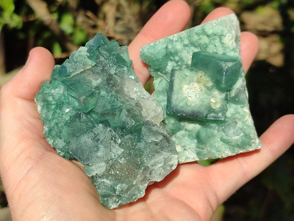 Natural Green Cubic Fluorite Specimens x 6 From Mandrosonoro, Madagascar - Toprock Gemstones and Minerals 