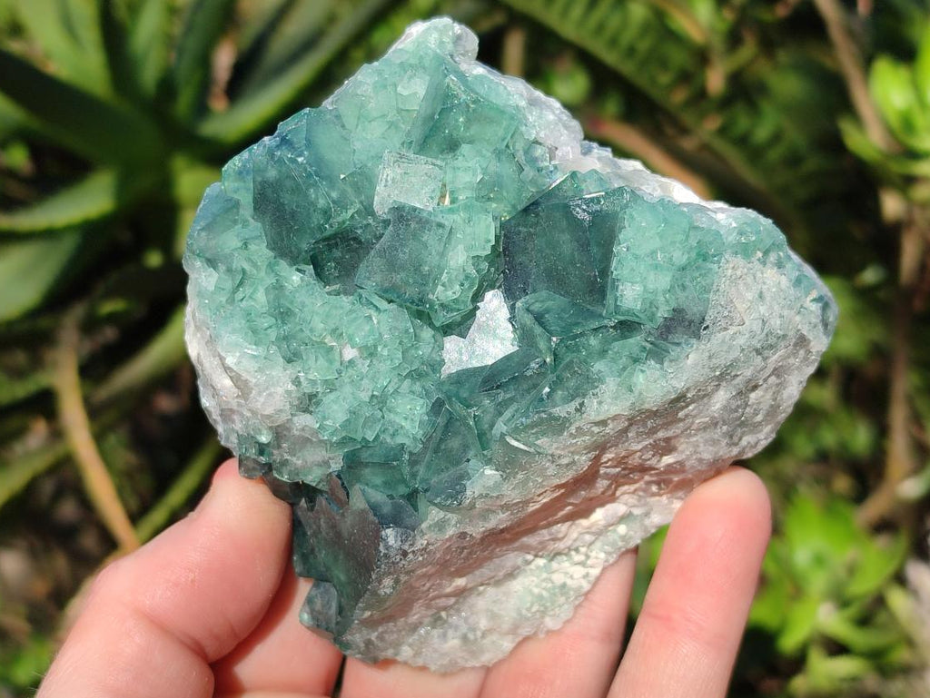 Natural Green Cubic Fluorite Specimens x 6 From Mandrosonoro, Madagascar - Toprock Gemstones and Minerals 