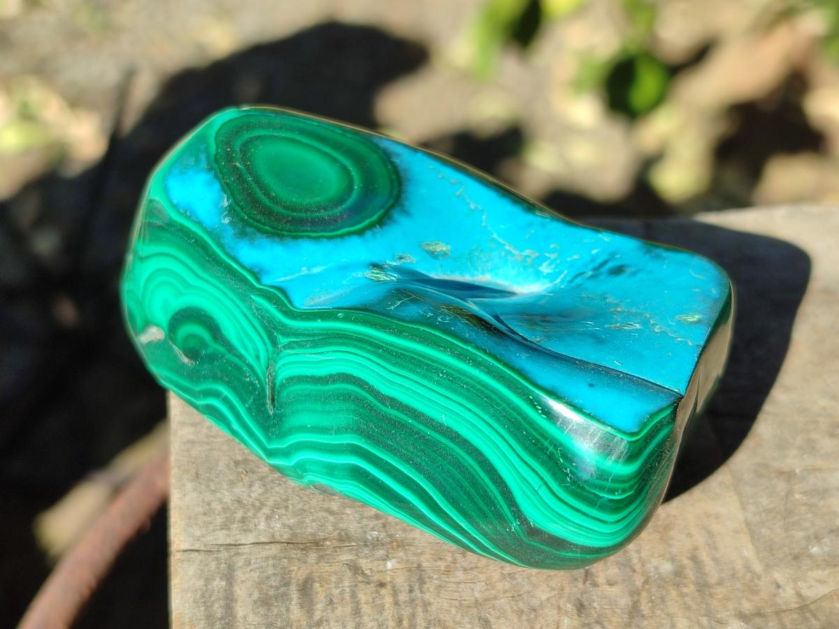 Polished Malacolla Free Forms x 6 From Kulukuluku, Congo - Toprock Gemstones and Minerals 