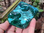 Polished Malacolla Free Forms x 6 From Kulukuluku, Congo - Toprock Gemstones and Minerals 