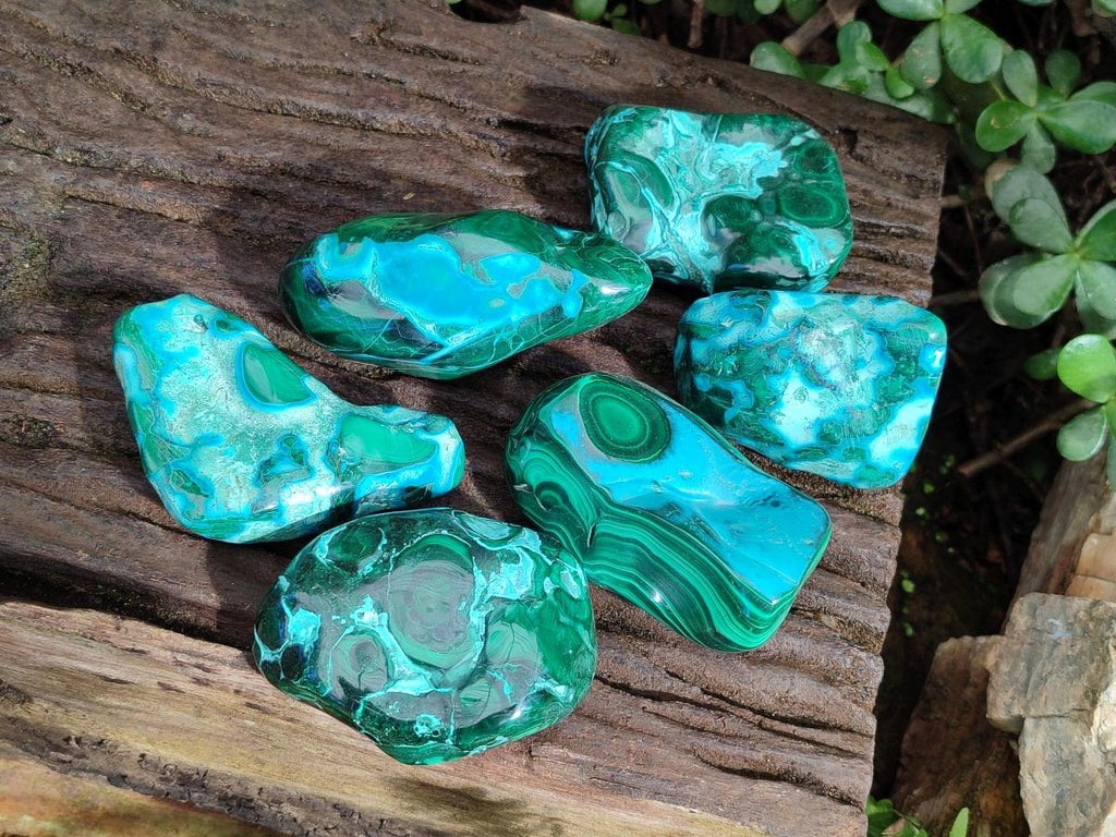 Polished Malacolla Free Forms x 6 From Kulukuluku, Congo - Toprock Gemstones and Minerals 