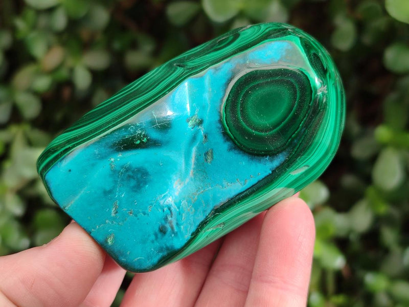 Polished Malacolla Free Forms x 6 From Kulukuluku, Congo - Toprock Gemstones and Minerals 