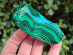 Polished Malacolla Free Forms x 6 From Kulukuluku, Congo - Toprock Gemstones and Minerals 