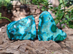 Polished Malacolla Free Forms x 6 From Kulukuluku, Congo - Toprock Gemstones and Minerals 