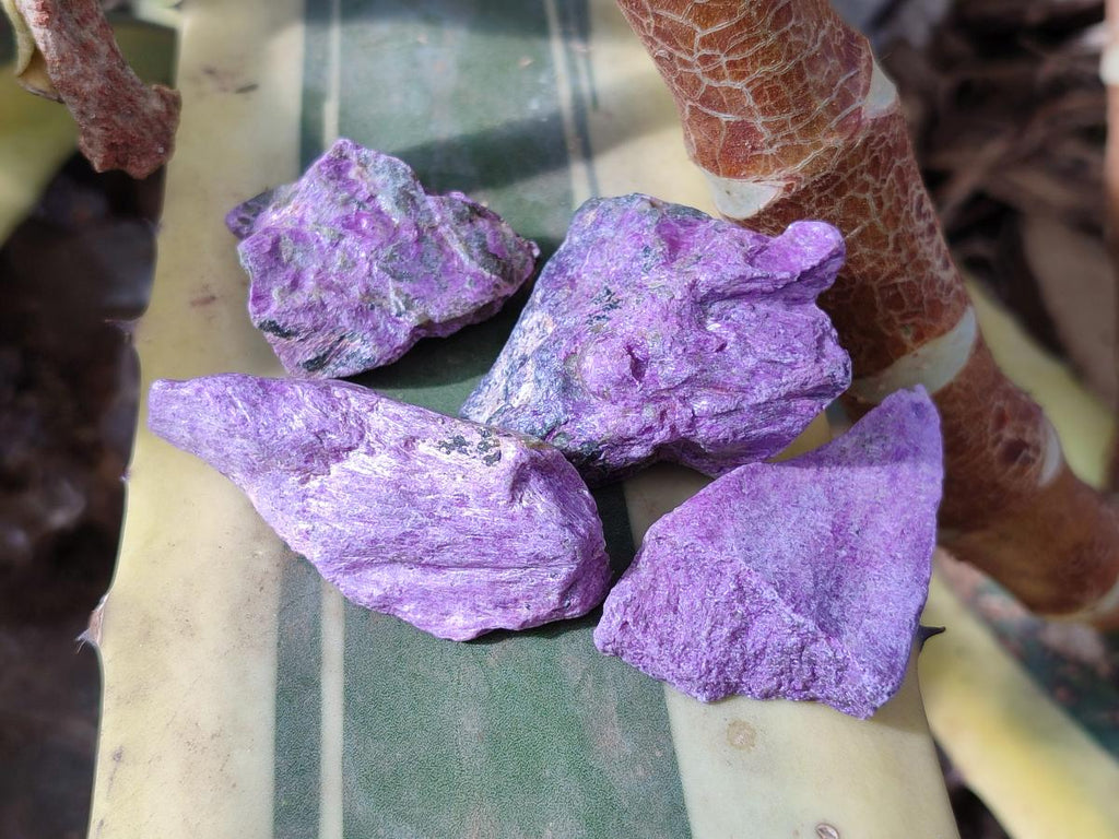 Natural Cobbed Stichtite Specimens x 2.24Kg Lot From Barberton, South Africa - Toprock Gemstones and Minerals 