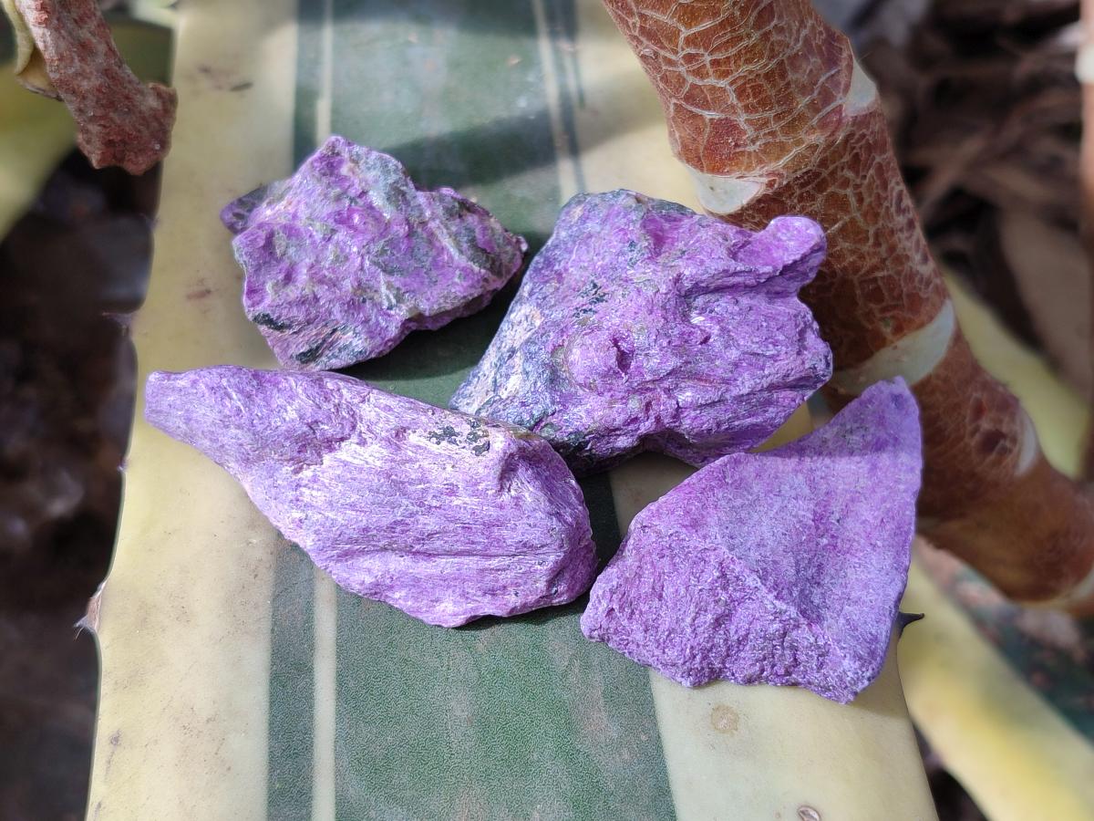 Natural Cobbed Stichtite Specimens x 2.24Kg Lot From Barberton, South Africa - Toprock Gemstones and Minerals 