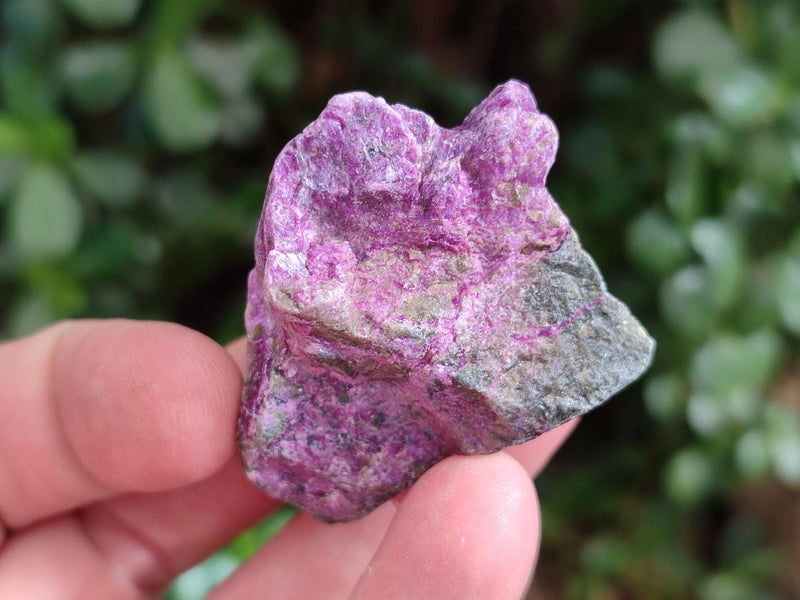 Natural Cobbed Stichtite Specimens x 2.24Kg Lot From Barberton, South Africa - Toprock Gemstones and Minerals 