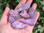 Natural Cobbed Stichtite Specimens x 2.24Kg Lot From Barberton, South Africa - Toprock Gemstones and Minerals 