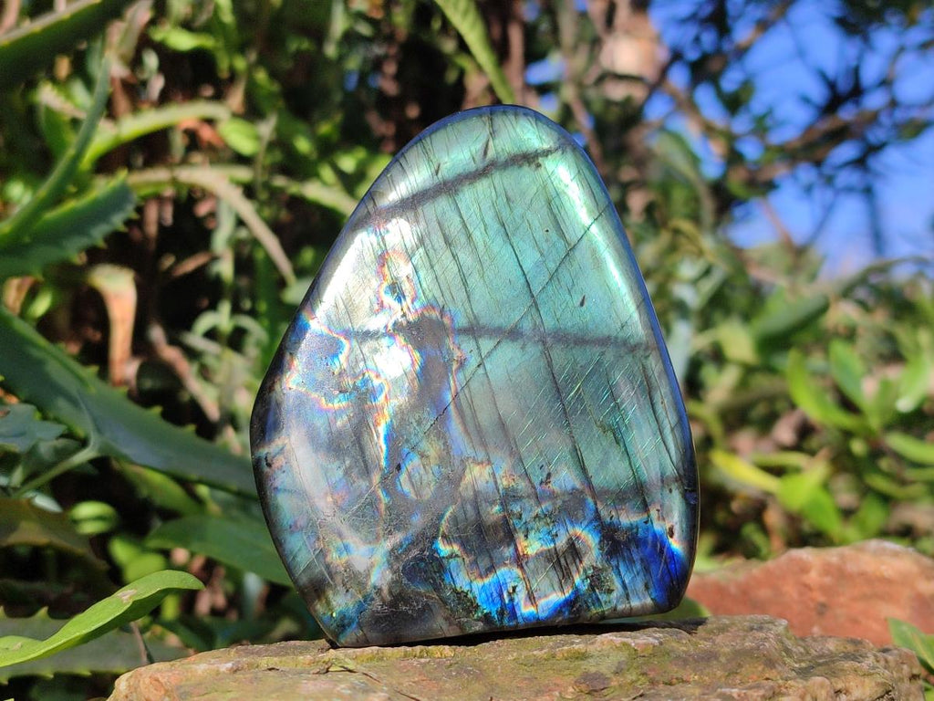 Polished Labradorite Standing Display Pieces x 6 From Madagascar - Toprock Gemstones and Minerals 