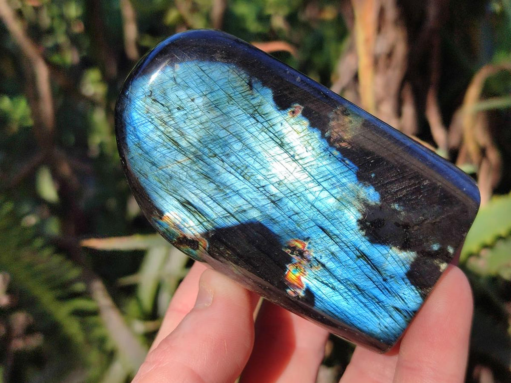 Polished Labradorite Standing Display Pieces x 6 From Madagascar - Toprock Gemstones and Minerals 