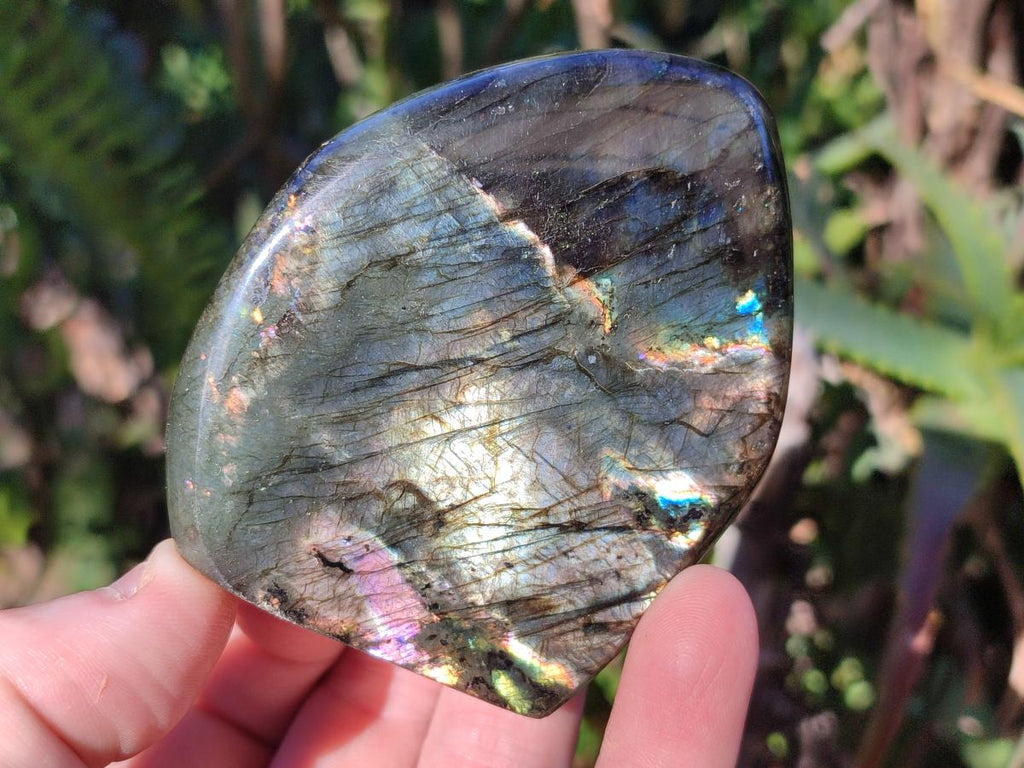 Polished Labradorite Standing Display Pieces x 6 From Madagascar - Toprock Gemstones and Minerals 