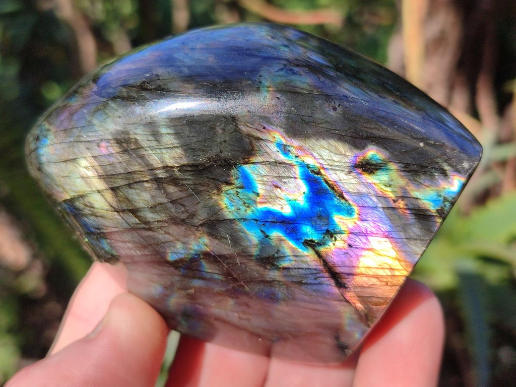 Polished Labradorite Standing Display Pieces x 6 From Madagascar - Toprock Gemstones and Minerals 