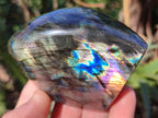 Polished Labradorite Standing Display Pieces x 6 From Madagascar - Toprock Gemstones and Minerals 