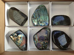 Polished Labradorite Standing Display Pieces x 6 From Madagascar - Toprock Gemstones and Minerals 