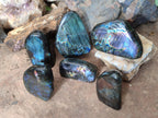 Polished Labradorite Standing Display Pieces x 6 From Madagascar - Toprock Gemstones and Minerals 