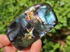 Polished Labradorite Standing Display Pieces x 6 From Madagascar - Toprock Gemstones and Minerals 