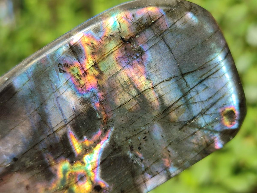 Polished Labradorite Standing Display Pieces x 6 From Madagascar - Toprock Gemstones and Minerals 