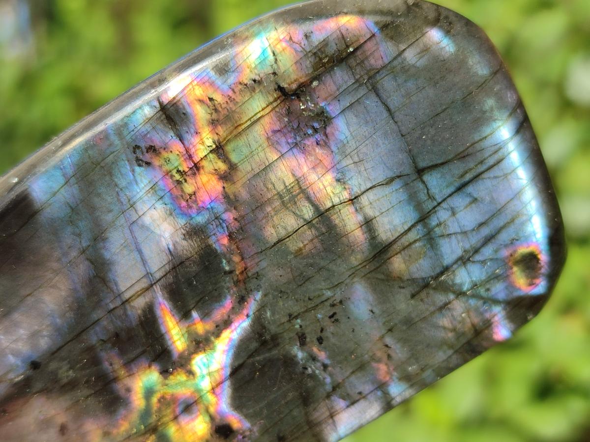 Polished Labradorite Standing Display Pieces x 6 From Madagascar - Toprock Gemstones and Minerals 