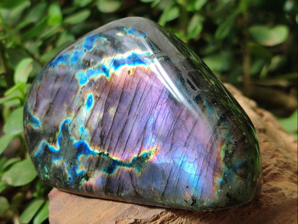Polished Labradorite Standing Display Pieces x 6 From Madagascar - Toprock Gemstones and Minerals 