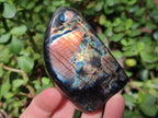Polished Labradorite Standing Display Pieces x 6 From Madagascar - Toprock Gemstones and Minerals 