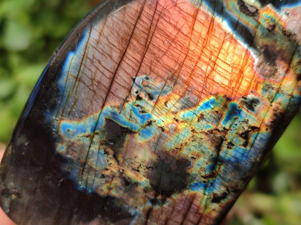 Polished Labradorite Standing Display Pieces x 6 From Madagascar - Toprock Gemstones and Minerals 