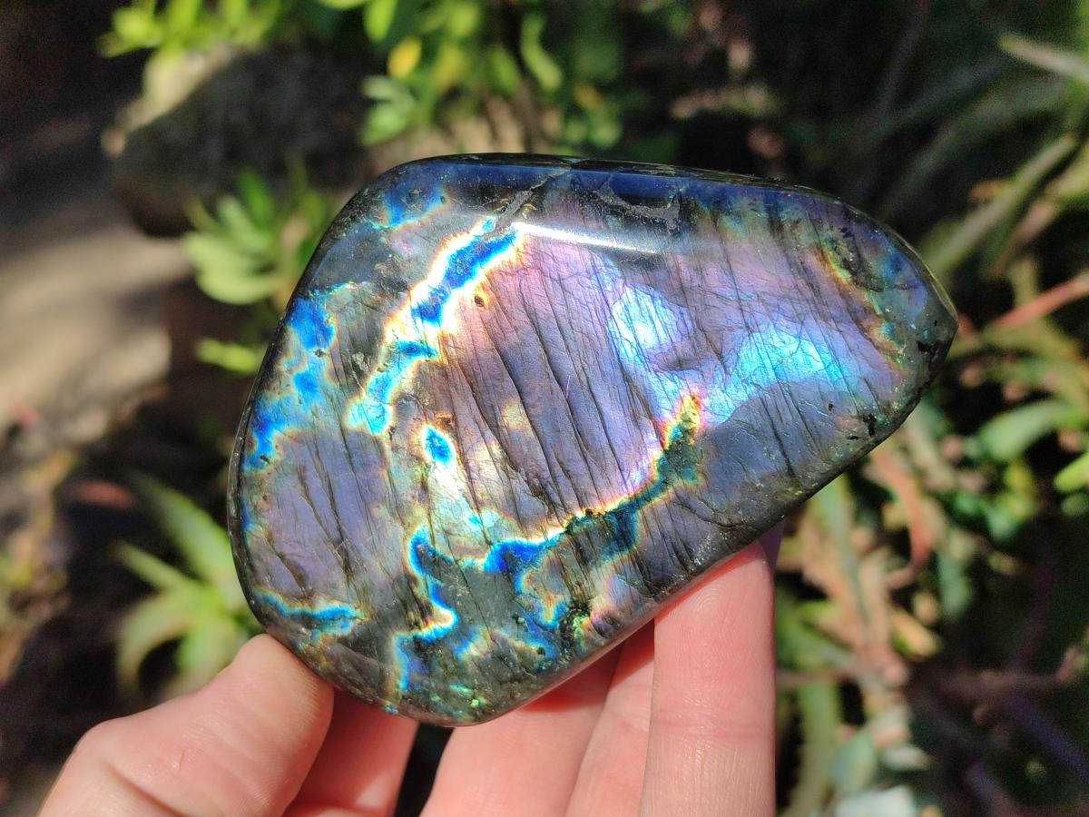 Polished Labradorite Standing Display Pieces x 6 From Madagascar - Toprock Gemstones and Minerals 