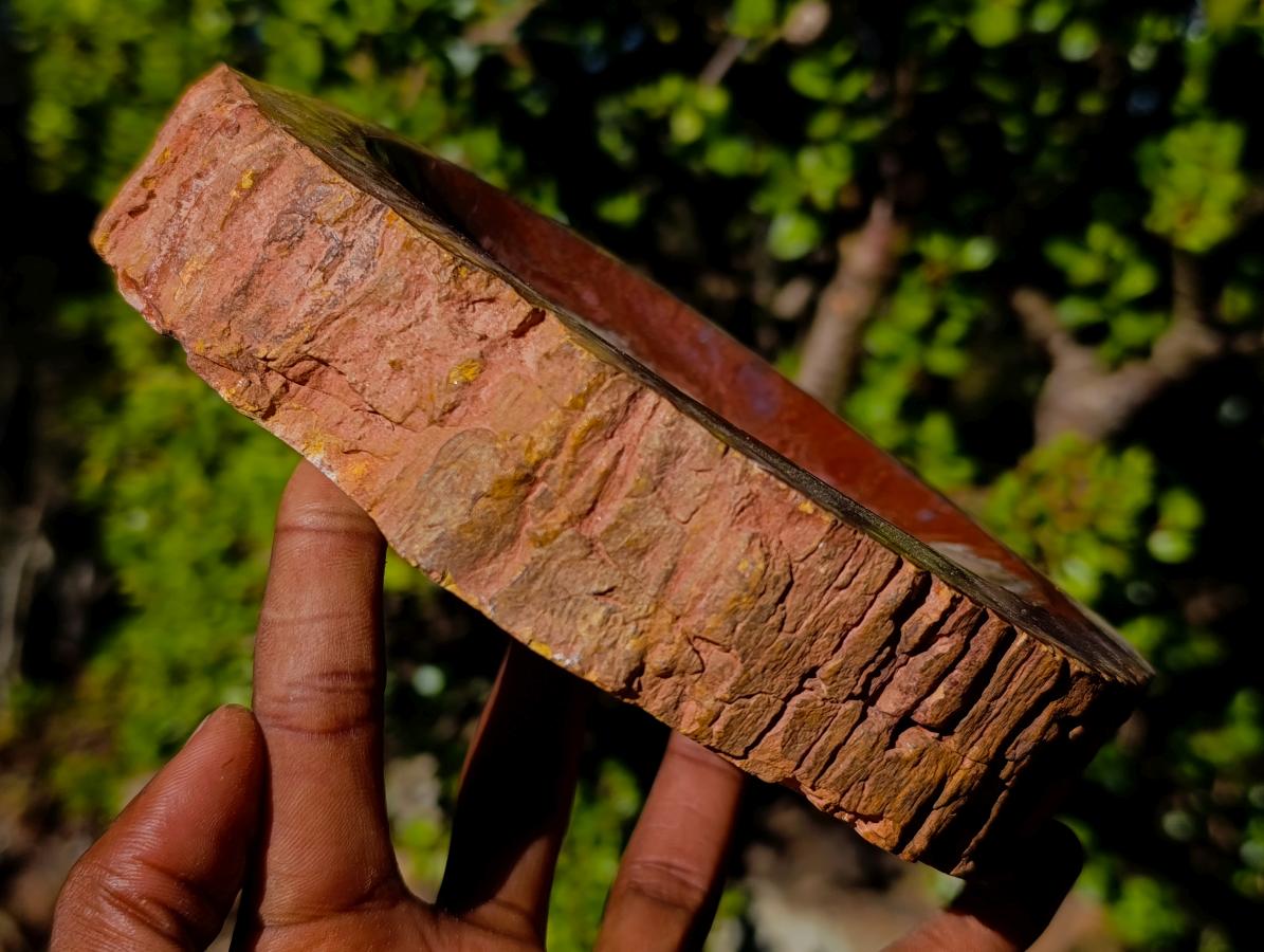 Polished Red Podocarpus Petrified Wood Bowls x 2 From Mahajanga, Madagascar - Toprock Gemstones and Minerals 