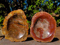Polished Red Podocarpus Petrified Wood Bowls x 2 From Mahajanga, Madagascar - Toprock Gemstones and Minerals 
