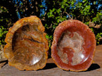 Polished Red Podocarpus Petrified Wood Bowls x 2 From Mahajanga, Madagascar - Toprock Gemstones and Minerals 