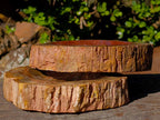 Polished Red Podocarpus Petrified Wood Bowls x 2 From Mahajanga, Madagascar - Toprock Gemstones and Minerals 