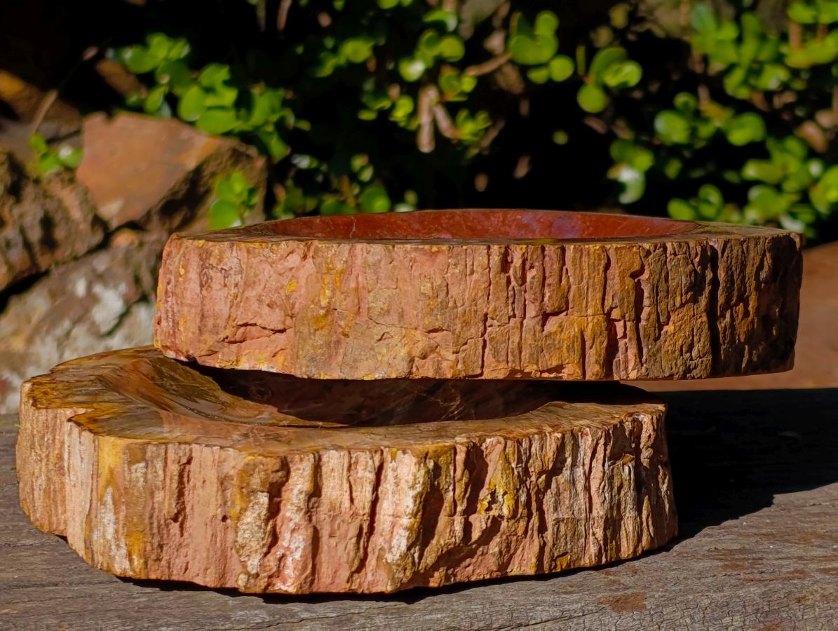 Polished Red Podocarpus Petrified Wood Bowls x 2 From Mahajanga, Madagascar - Toprock Gemstones and Minerals 